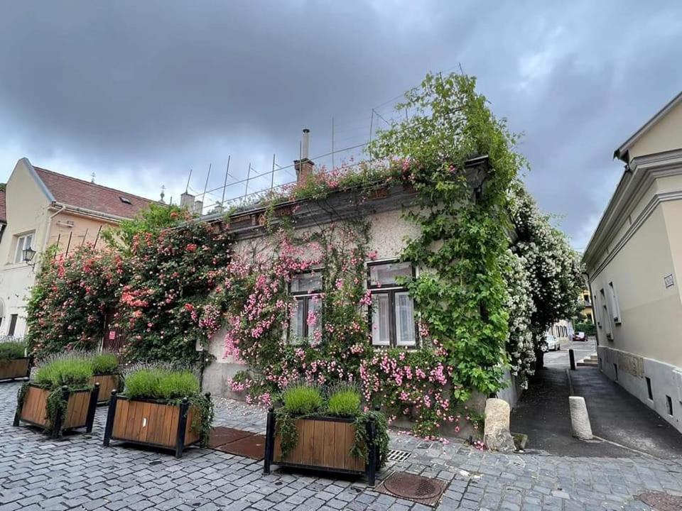 Downtown Romantic Szekesfehervar Bagian luar foto